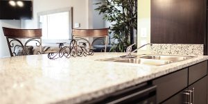 Furnished Countertops